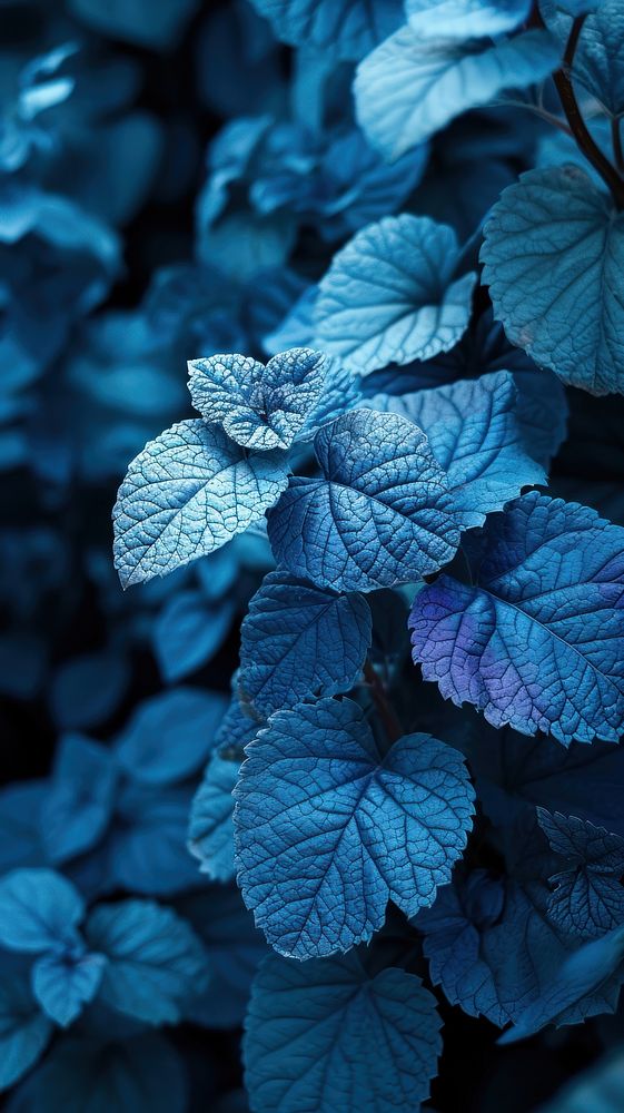  Nature blue nature plant. AI generated Image by rawpixel.