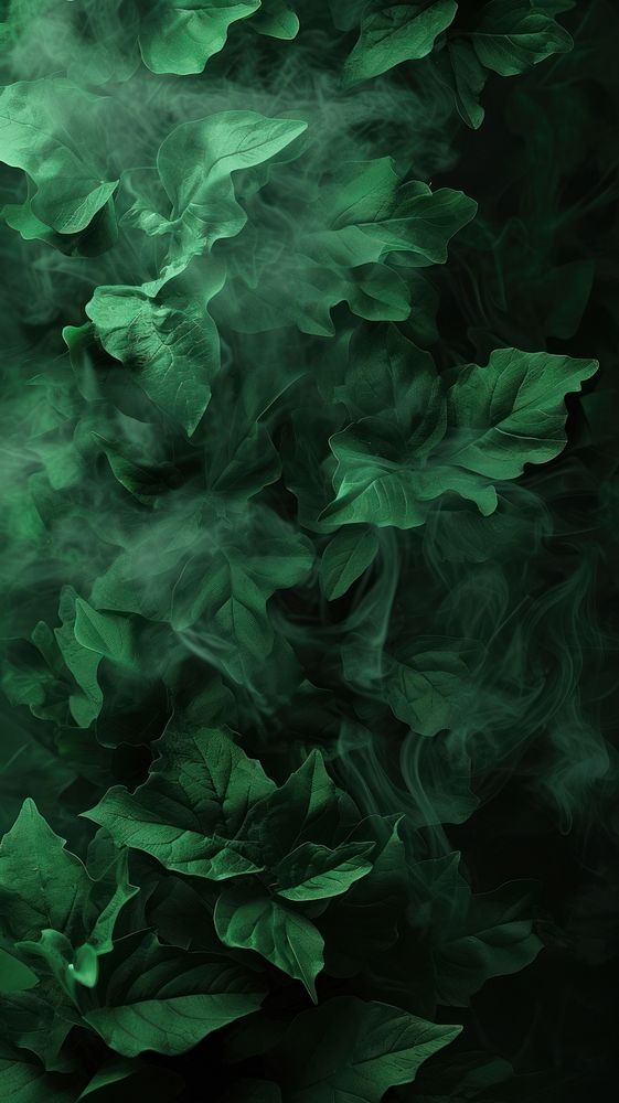  Nature green abstract nature. AI generated Image by rawpixel.