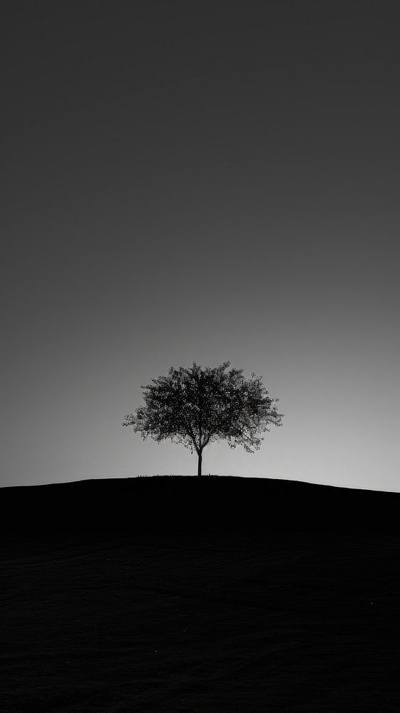  Nature nature silhouette outdoors. AI generated Image by rawpixel.