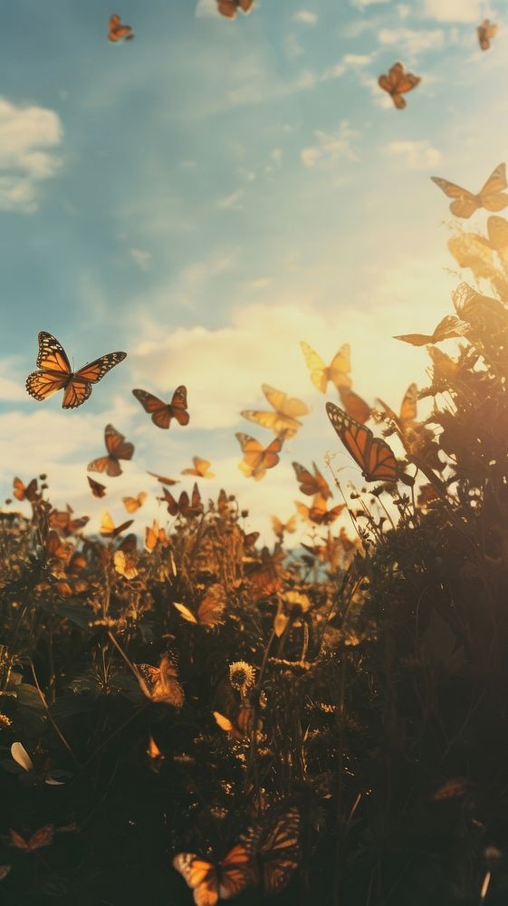  Field of butterfly photography landscape outdoors. AI generated Image by rawpixel.