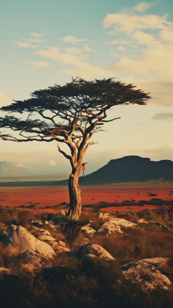  Africa biome landscape outdoors savanna. AI generated Image by rawpixel.