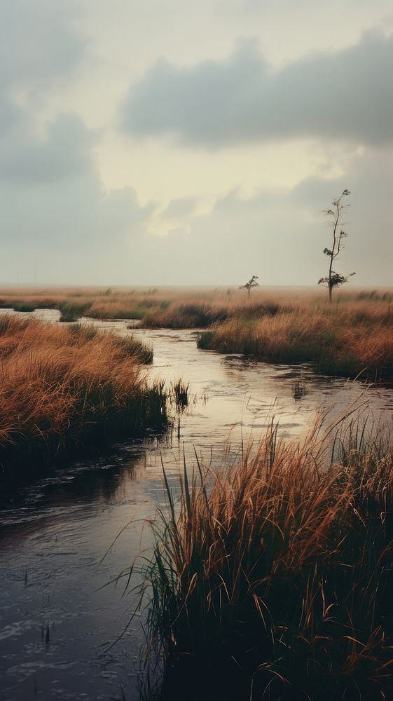  Marshes landscape outdoors nature. AI generated Image by rawpixel.