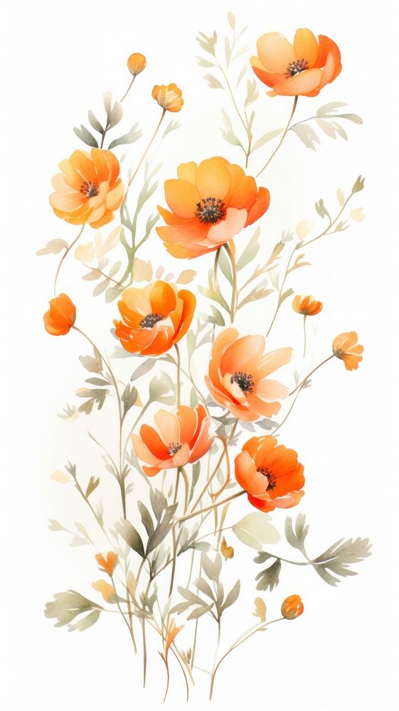 Watercolor of orange flowers pattern plant inflorescence.