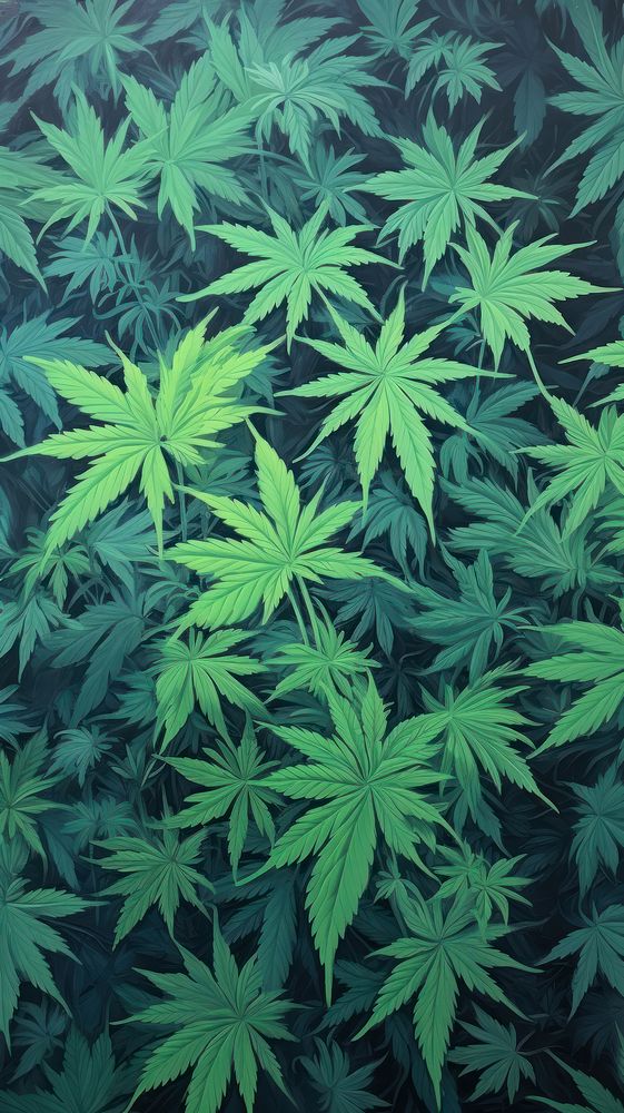 Cannabis pattern plant green leaf.