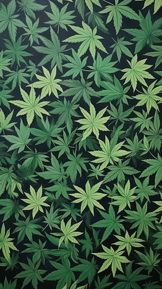 Cannabis pattern nature plant green.