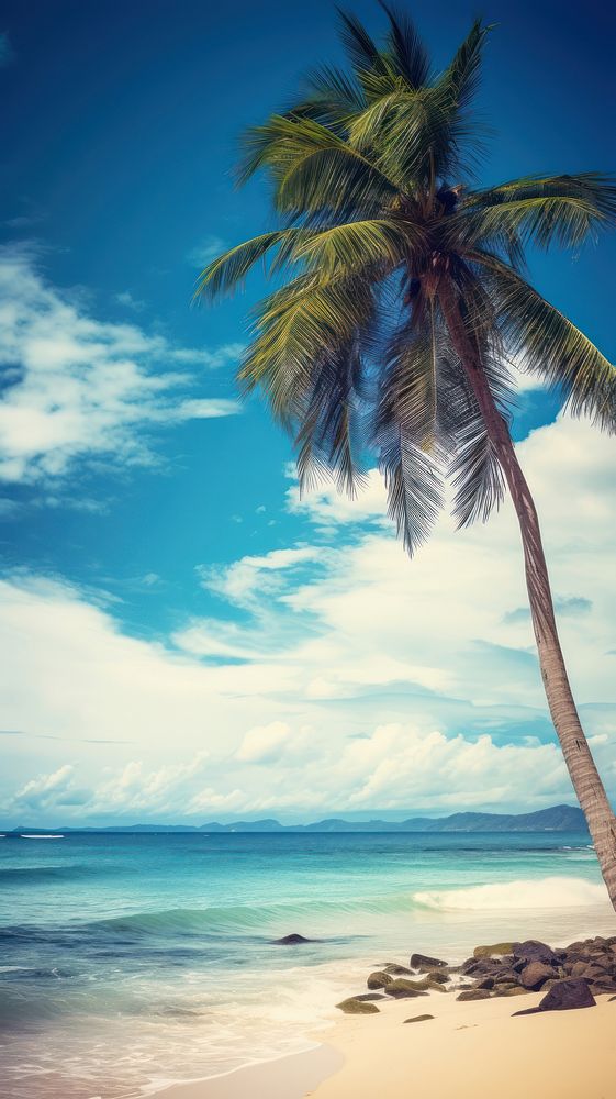  Beautiful beach with plam tree outdoors horizon nature. AI generated Image by rawpixel.