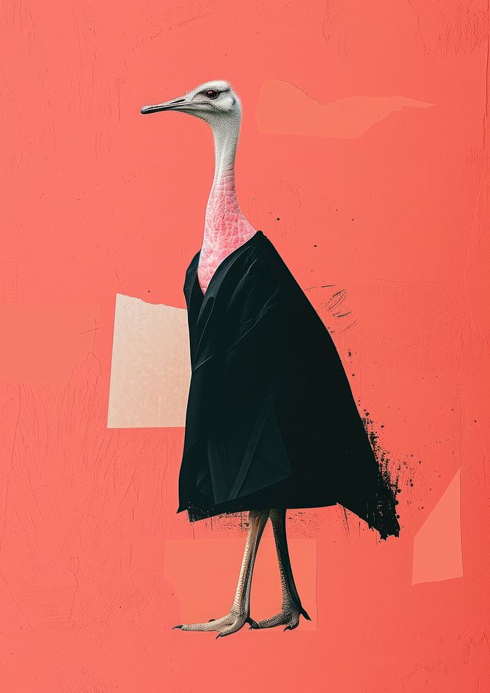 Ostrich graduates wearing a graduation gown run floating animal ostrich bird.