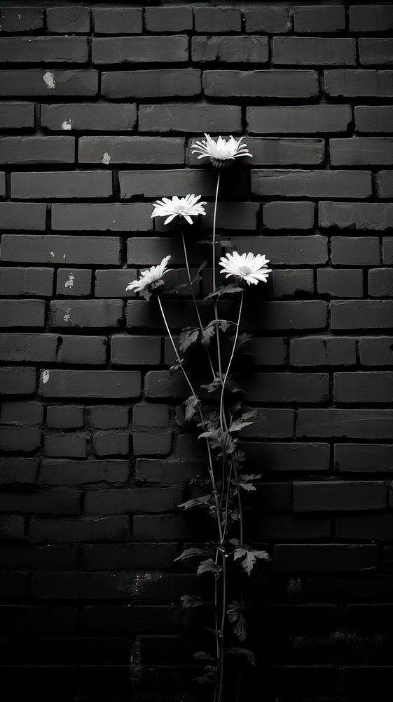 Flower brick wall architecture. Premium Photo rawpixel