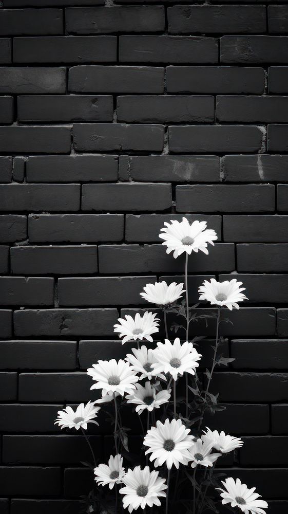 Flower brick wall architecture. Free Photo rawpixel