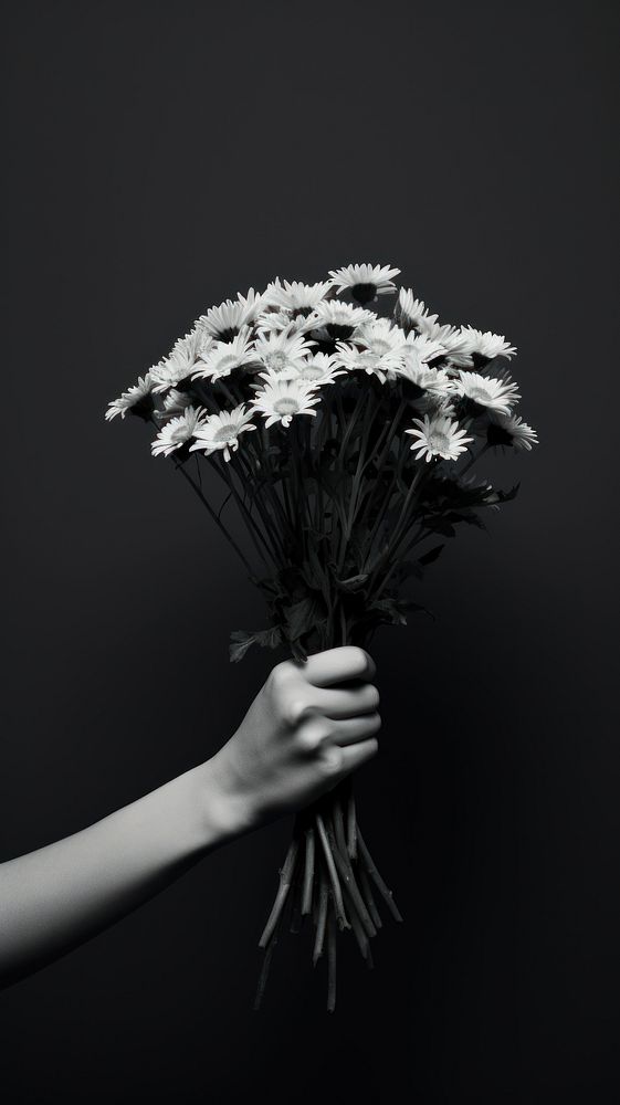 Photography hand holding bouquet photography | Free Photo - rawpixel