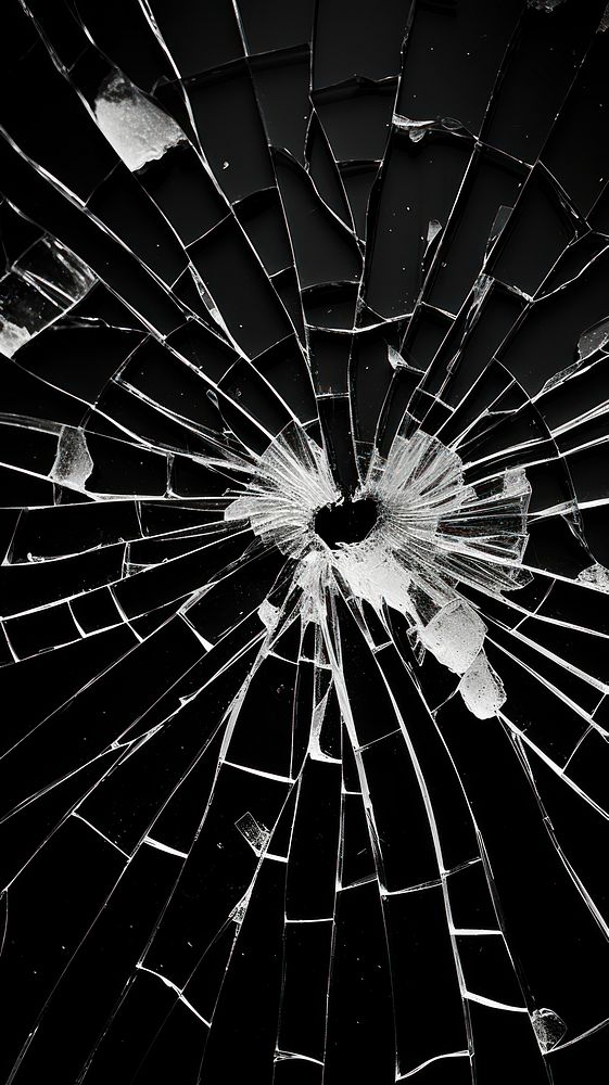 Photography of shattered glass spider black invertebrate.