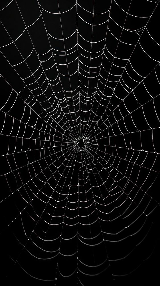 Photography of spider web black backgrounds concentric.