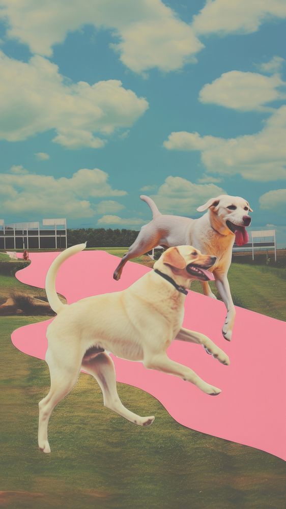 Dogs run outdoors mammal animal. AI generated Image by rawpixel.