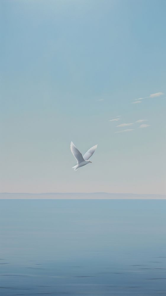 A white dove outside the window with seascape background outdoors seagull vehicle.