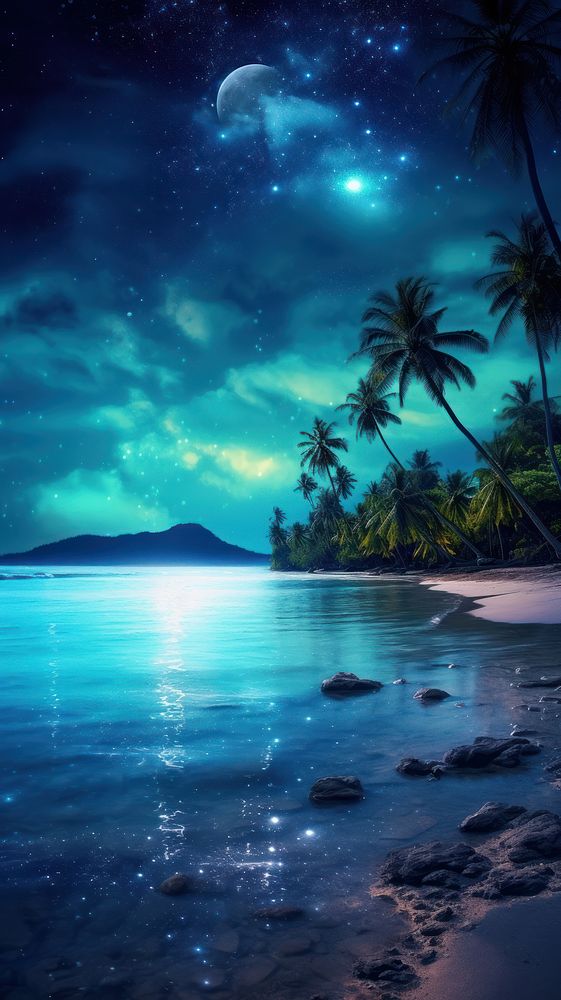 Beautiful fantasy tropical beach night moon landscape.