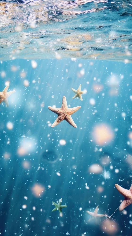 Ocean wallpaper underwater starfish outdoors.