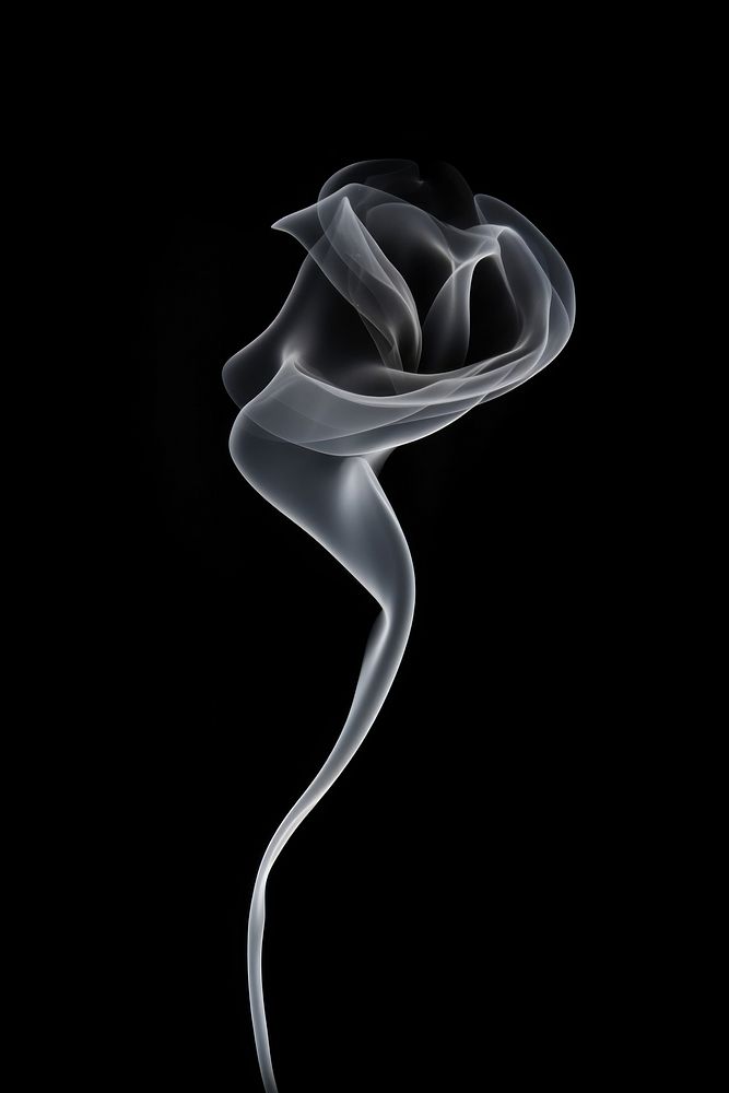 Rose smoke black white.