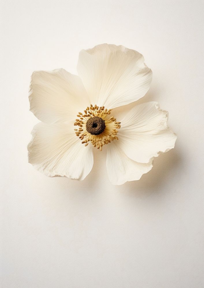 White anemone flower blossom jewelry.