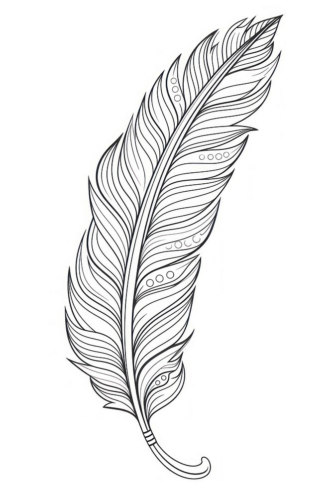 Feather sketch drawing white. AI generated Image by rawpixel.