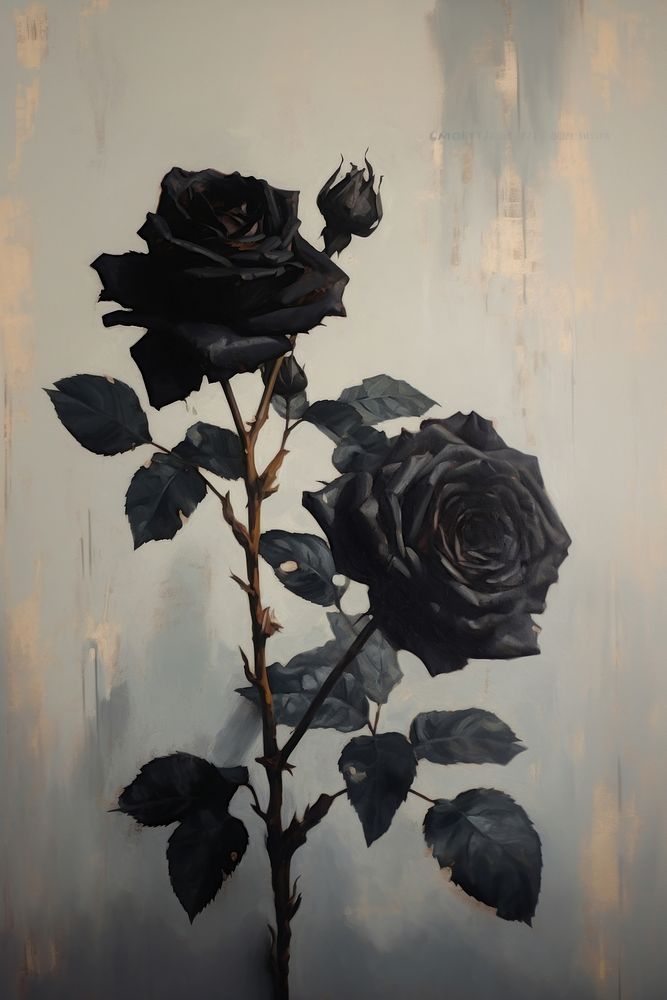 Black roses painting flower plant.