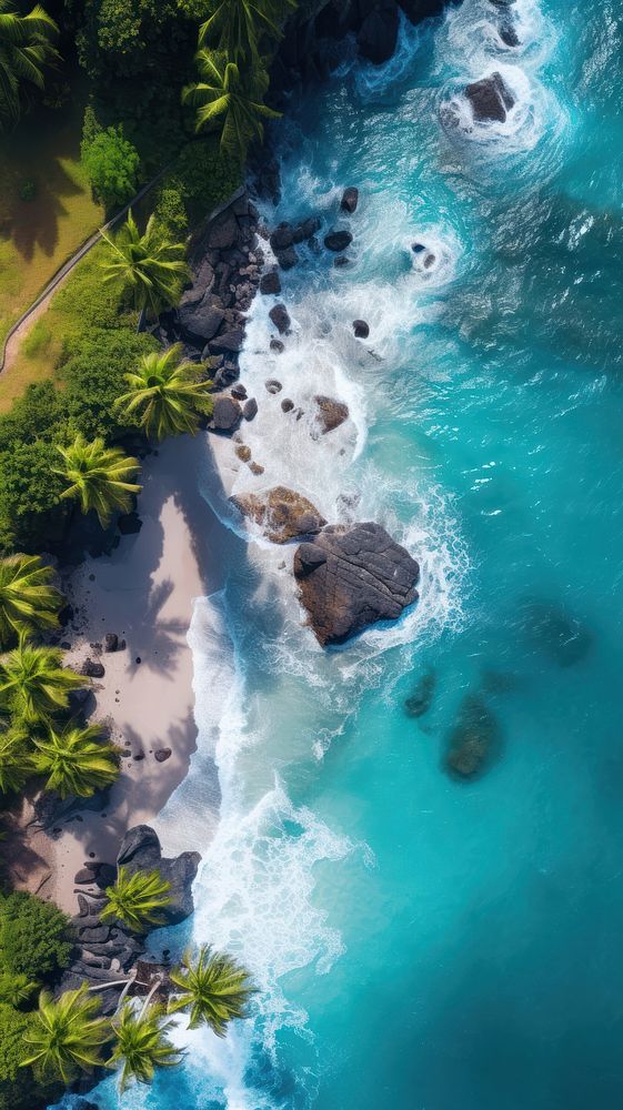  Tropical island and a beach nature outdoors plant. AI generated Image by rawpixel.