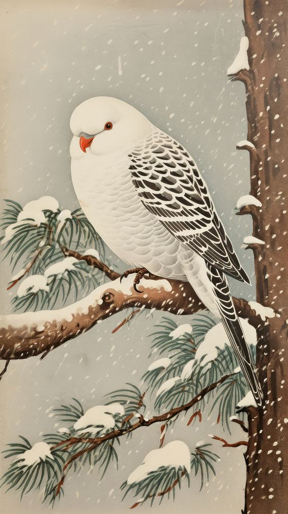 White bird on a snow covered pine branch nature winter animal