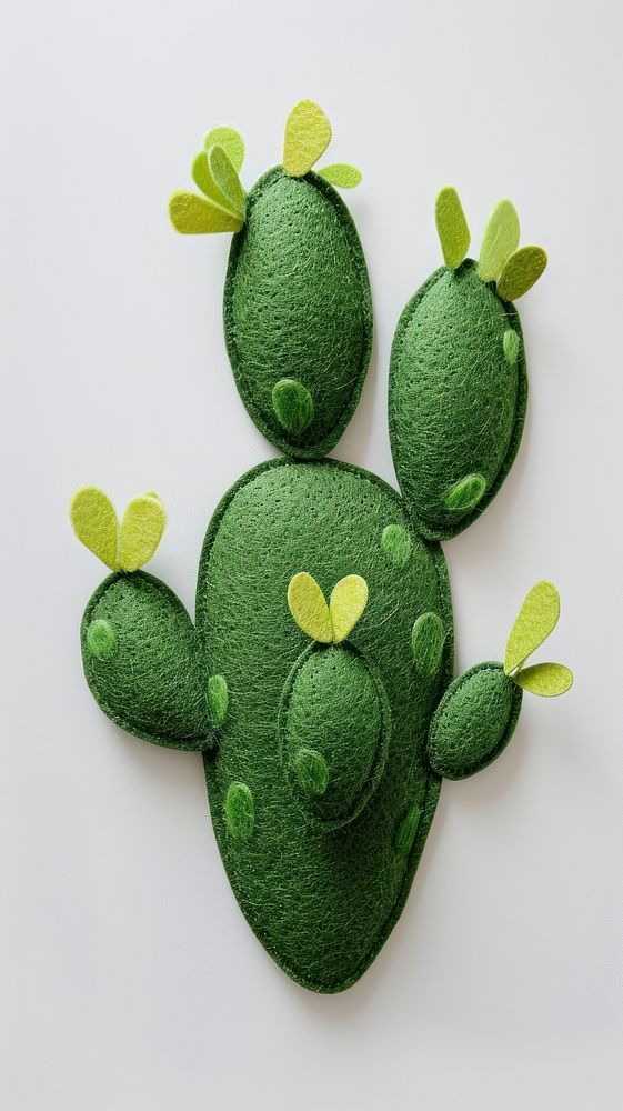 Wallpaper of felt cactus plant green leaf.