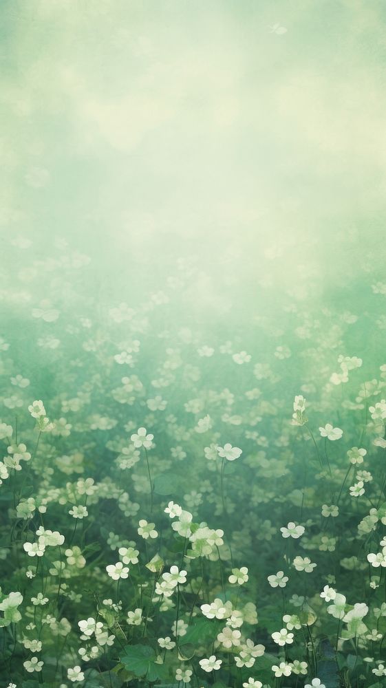 Wallpaper ephemera pale green clover outdoors nature flower.