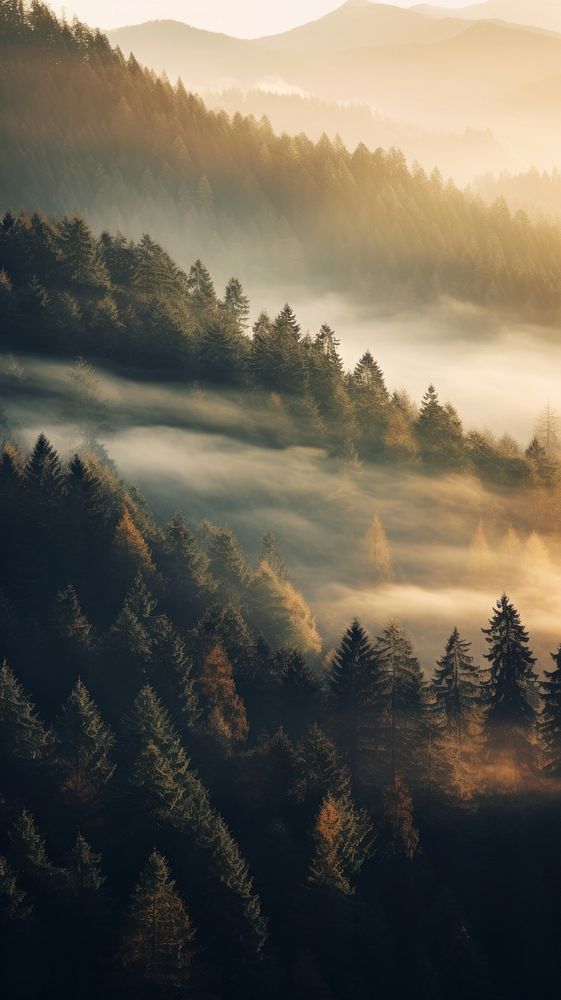  Nature forest fog wilderness. AI generated Image by rawpixel.