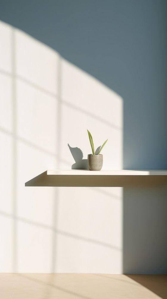  Clear wall furniture shadow plant. AI generated Image by rawpixel.