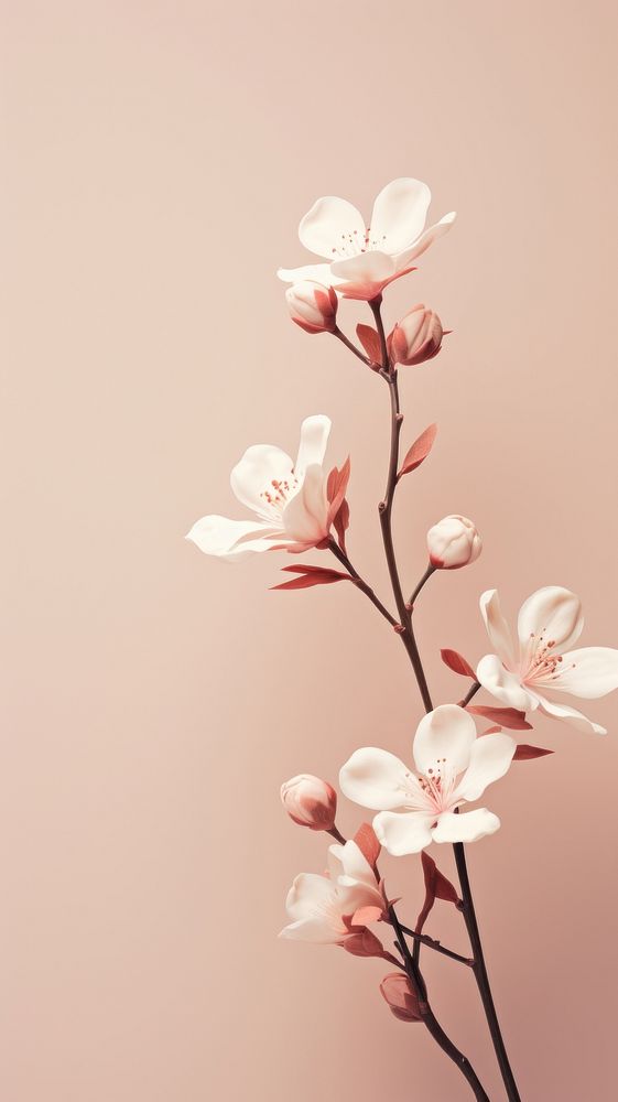  Floral blossom flower plant. AI generated Image by rawpixel.