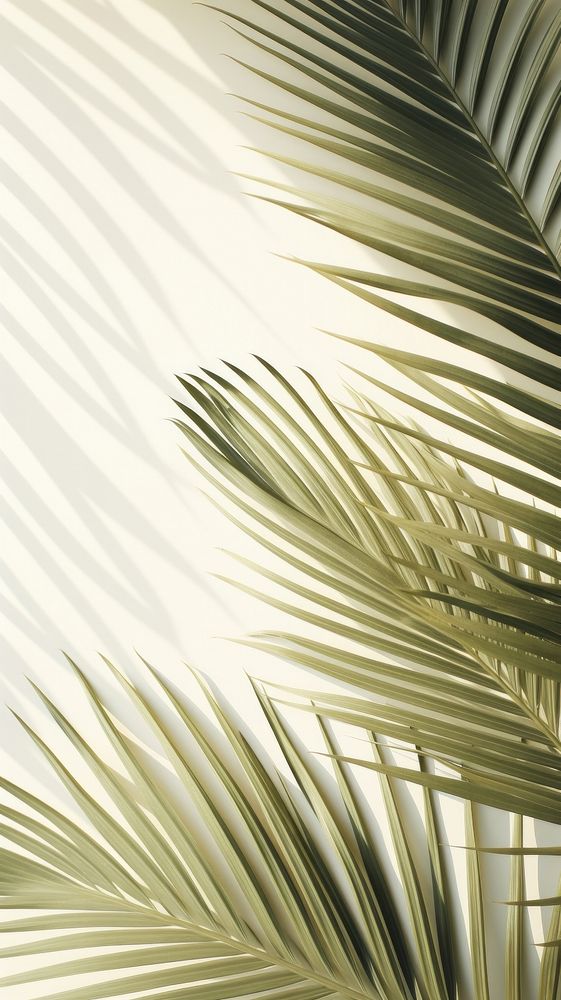  Palm leaves outdoors nature plant. AI generated Image by rawpixel.