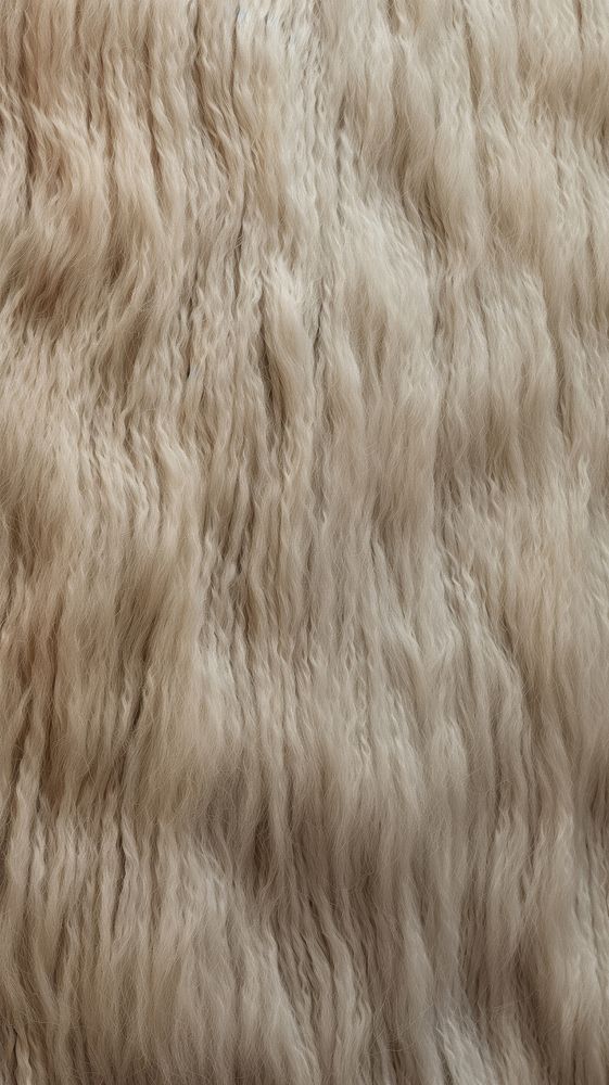 Texture Wallpaper texture wool fur.