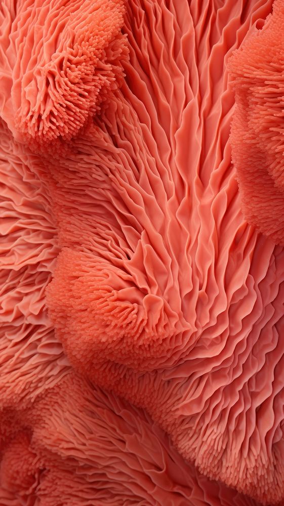 Texture Wallpaper microbiology backgrounds softness.