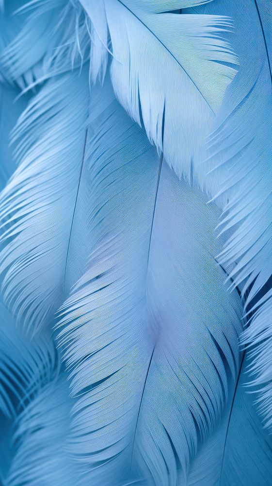 Texture Wallpaper feather blue lightweight.