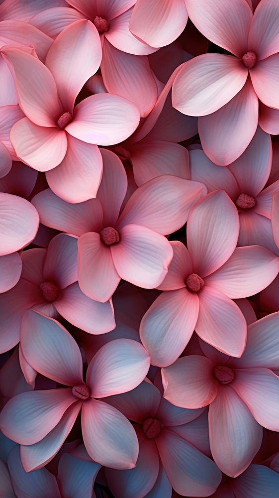 Texture Wallpaper flower petal pattern.