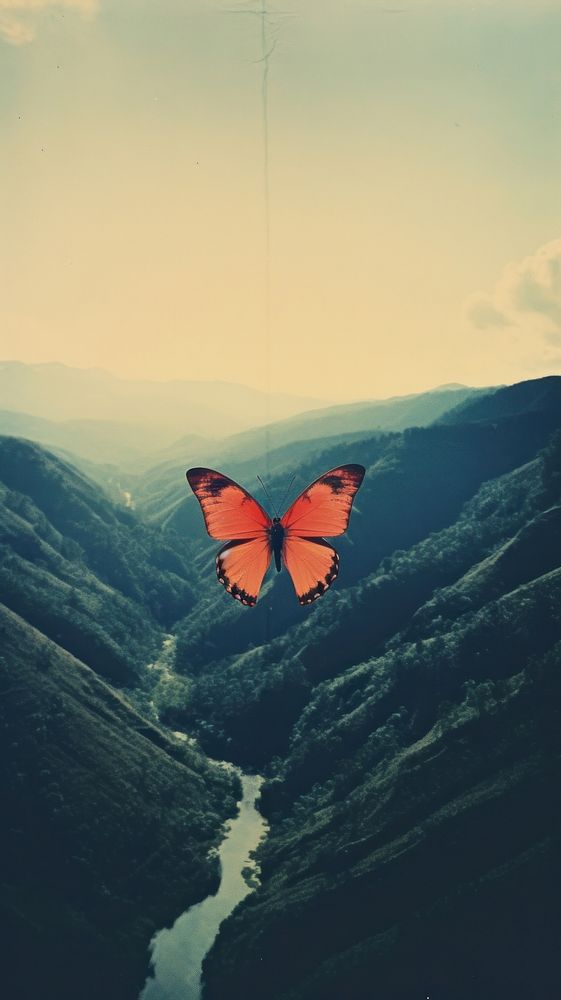 Photography of minimal a butterfly with hillside landscape mountain outdoors nature.
