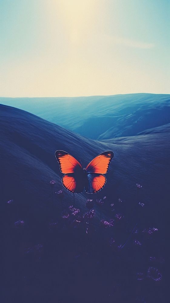 Photography of minimal a butterfly with hillside landscape outdoors nature sky.