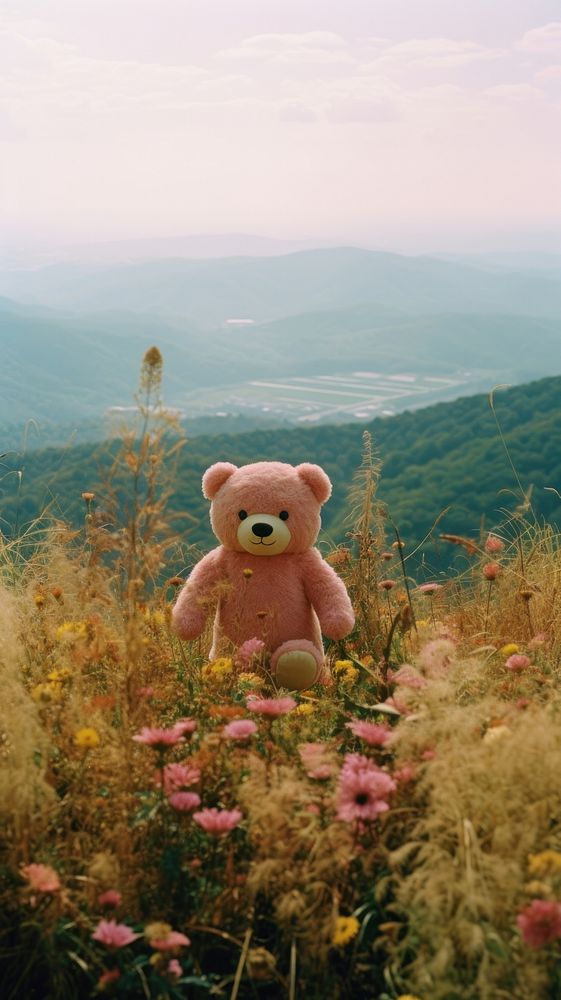Photography of minimal a cute bear with hillside japan landscape wilderness outdoors nature.