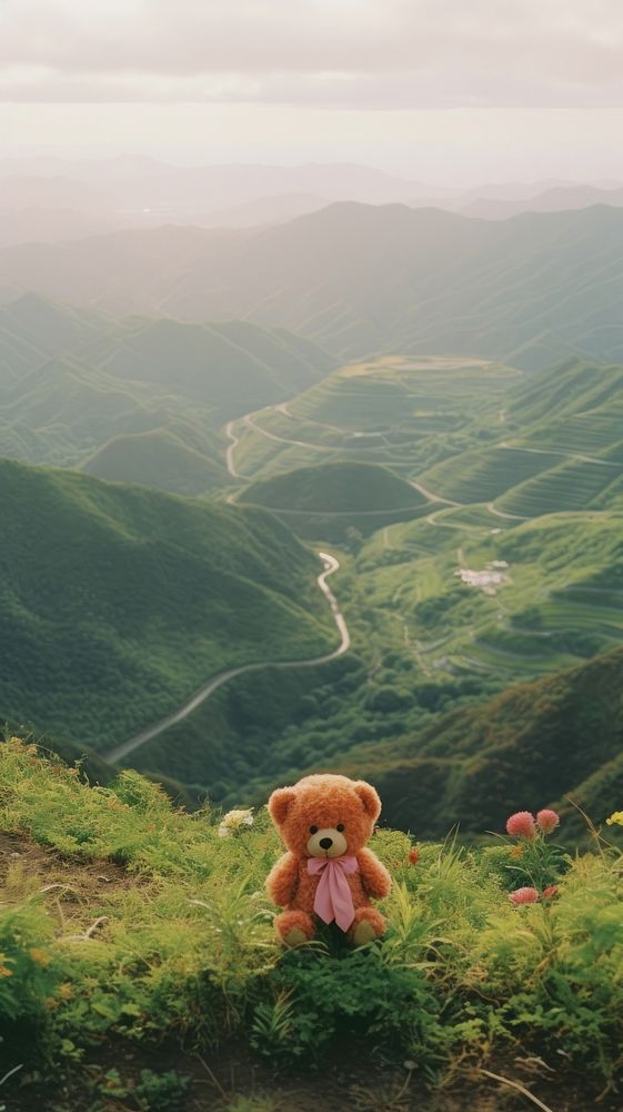 Photography of minimal a cute bear with hillside japan landscape wilderness grassland mountain.