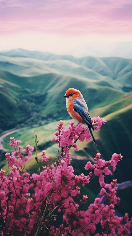 Photography of minimal a cute bird with hillside landscape outdoors nature flower.