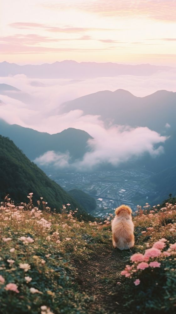 Photography of minimal a cute dog with hillside japan landscape wilderness mountain outdoors.