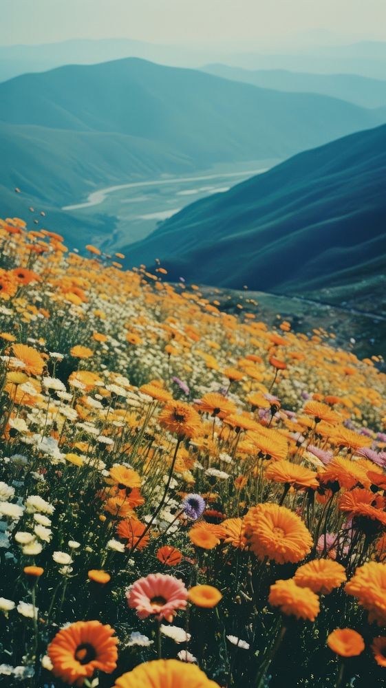 Photography of minimal a cute flowers with hillside landscape wilderness mountain outdoors.