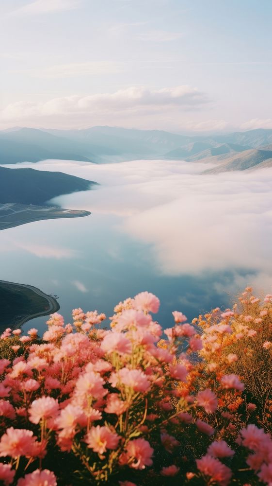 Landscape flower cloud mountain.