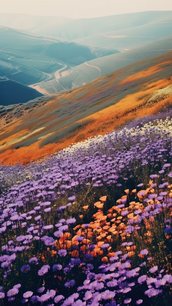 Photography of minimal cute flowers with hillside landscape wilderness outdoors blossom.