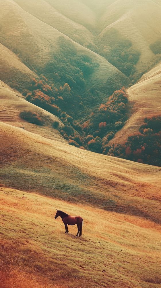 Photography of minimal Horse with hillside landscape horse grassland outdoors.