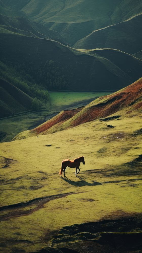 Horse Wallpaper:Amazon.com:Appstore for Android