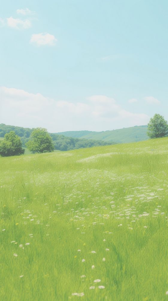 Aesthetic green meadow landscape wallpaper grassland outdoors pasture.