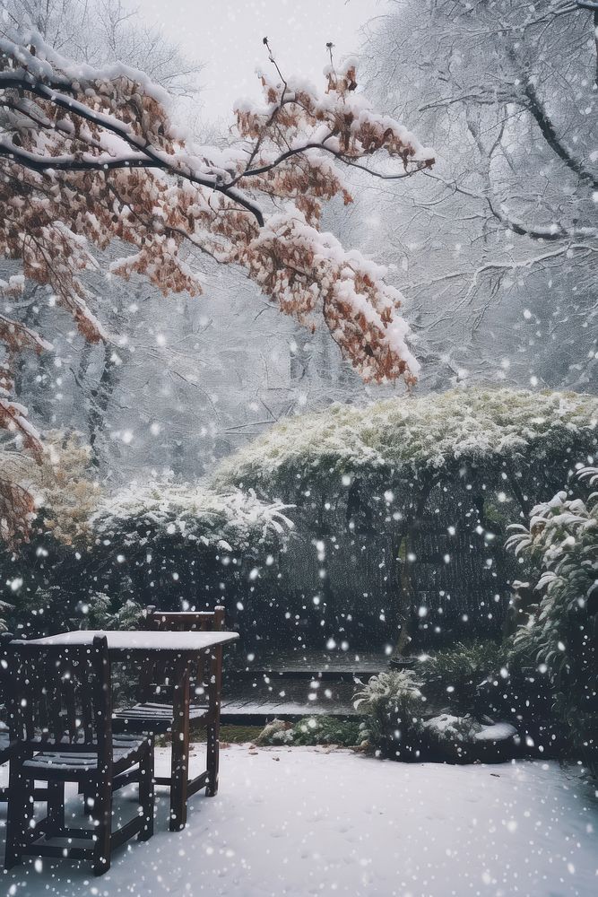 Snowing in garden outdoors weather winter.