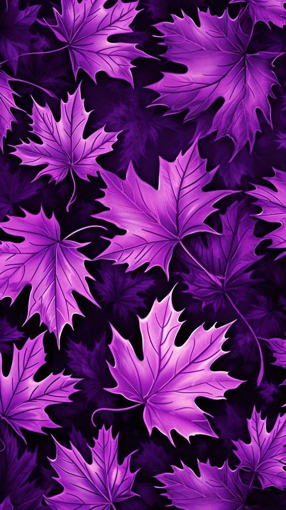 Purple maple leaf pattern background backgrounds plant fragility.